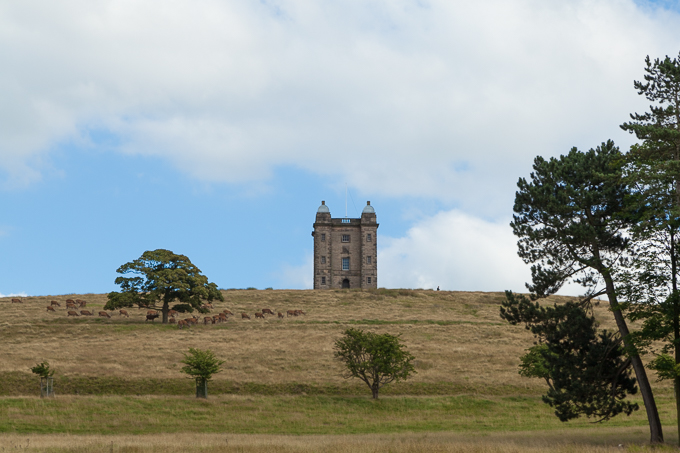 Lyme Park 2013 (10)